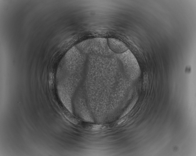 X0000097970130200804211022