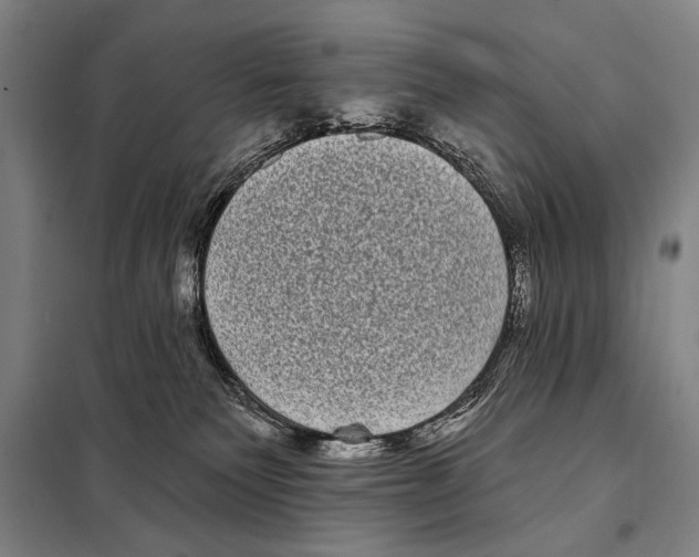X0000097970135200804211022