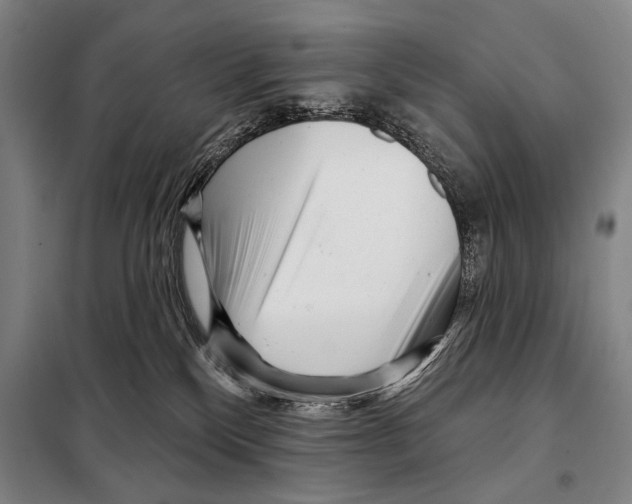 X0000097970136200804211021