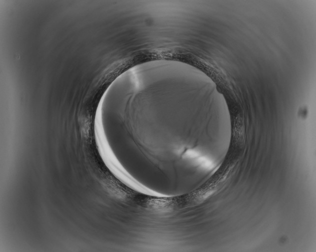 X0000097970139200804211021