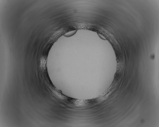 X0000097970142200804211021
