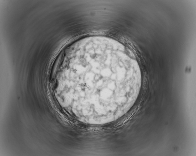X0000097970145200804211021