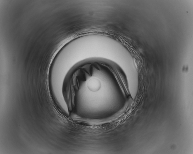 X0000097970148200804211021