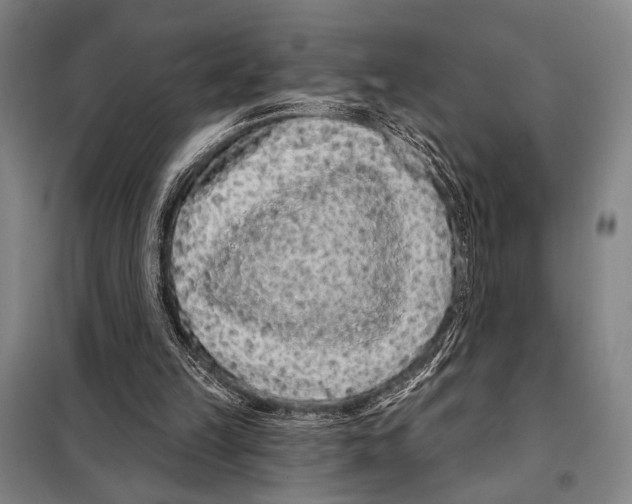 X0000097970149200804211021