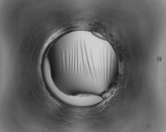 X0000097970150200804211021