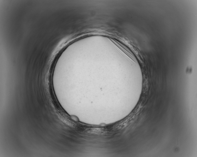 X0000097970151200804211021