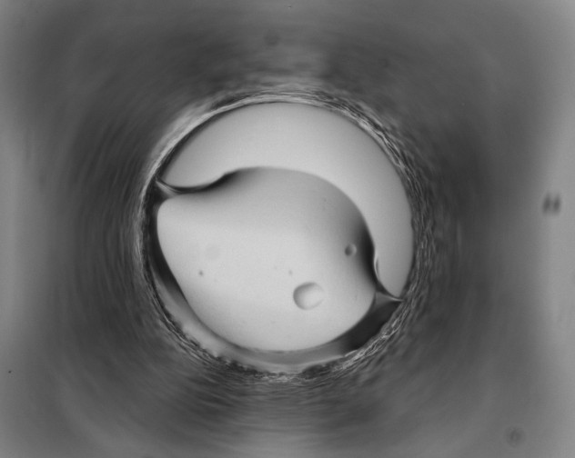 X0000097970152200804211021