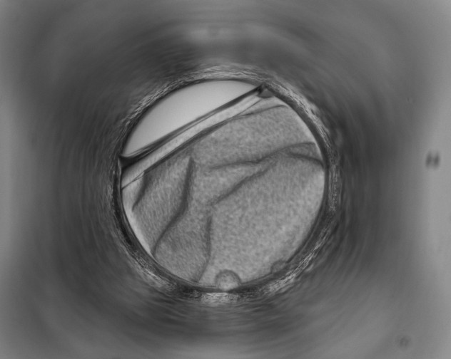 X0000097970153200804211021