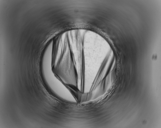 X0000097970154200804211021