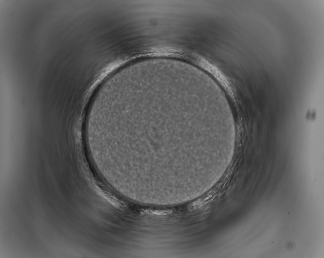 X0000097970155200804211021