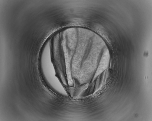 X0000097970156200804211021