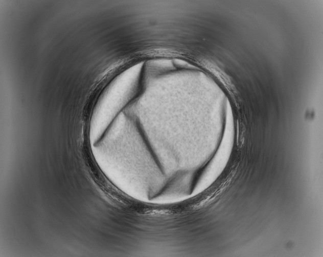 X0000097970157200804211021