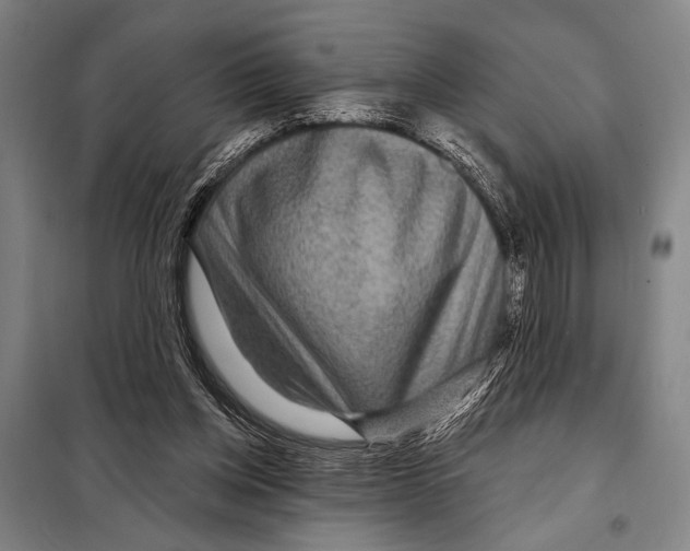 X0000097970158200804211021