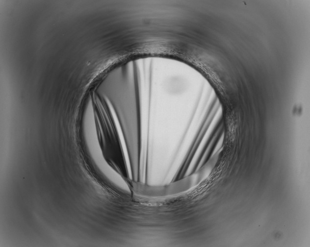 X0000097970160200804211021