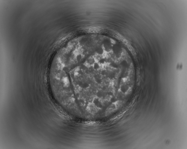 X0000097970161200804211021