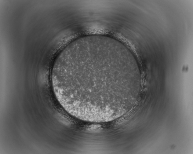 X0000097970162200804211021