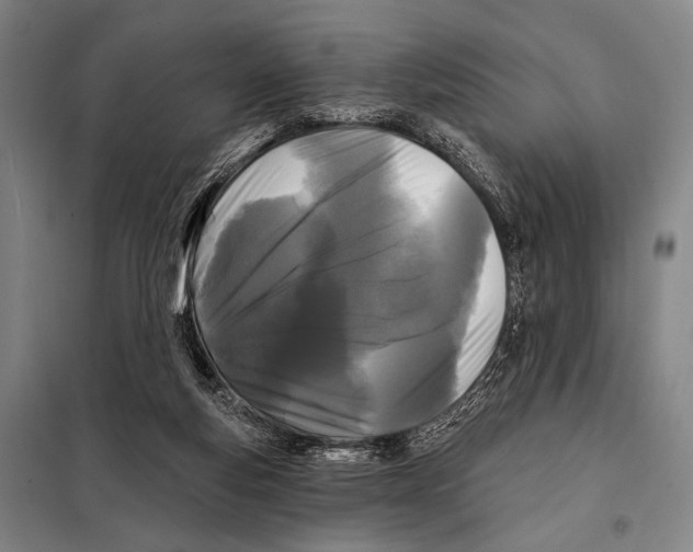 X0000097970163200804211021