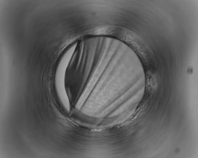 X0000097970164200804211021