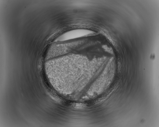 X0000097970165200804211021