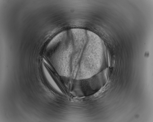 X0000097970168200804211021