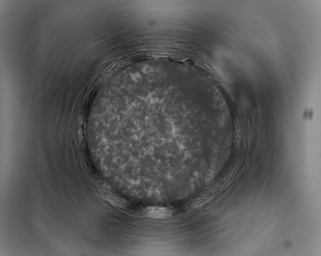 X0000097970169200804211021