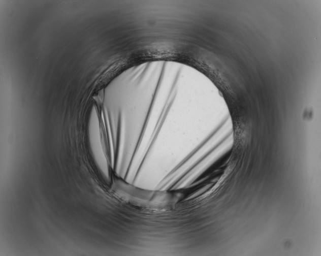 X0000097970170200804211021