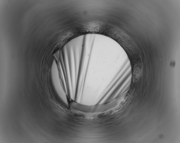 X0000097970172200804211021
