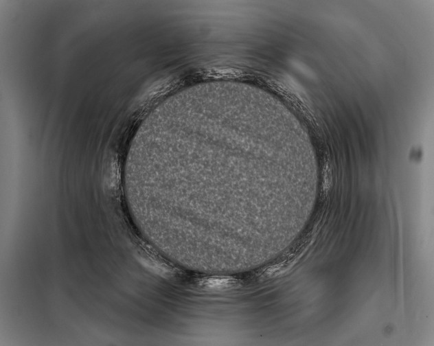 X0000097970173200804211021