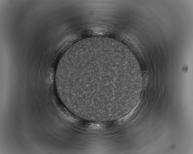 X0000097970174200804211021