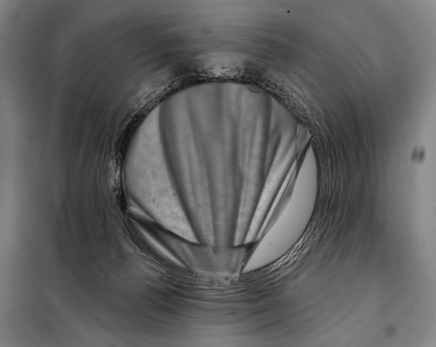 X0000097970176200804211021