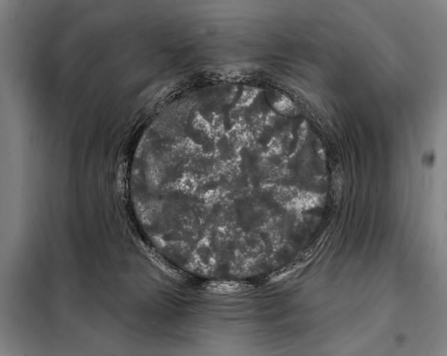X0000097970181200804211021