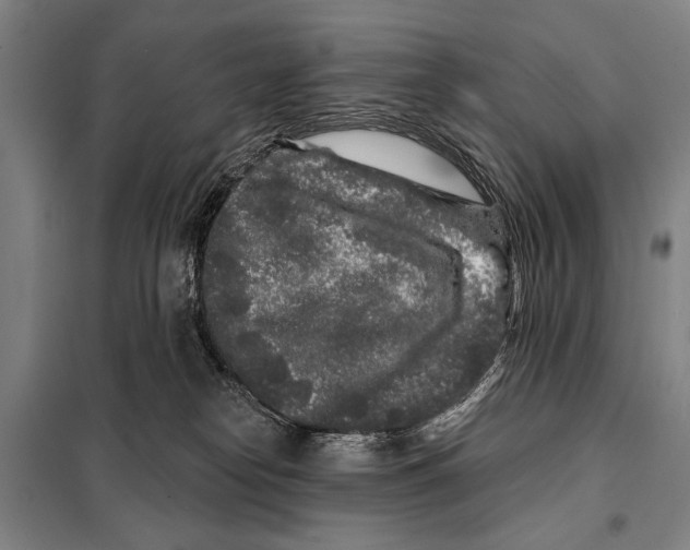 X0000097970182200804211021