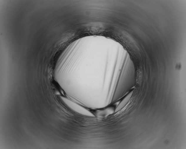 X0000097970184200804211021