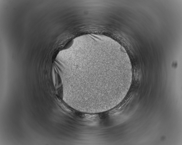 X0000097970185200804211021