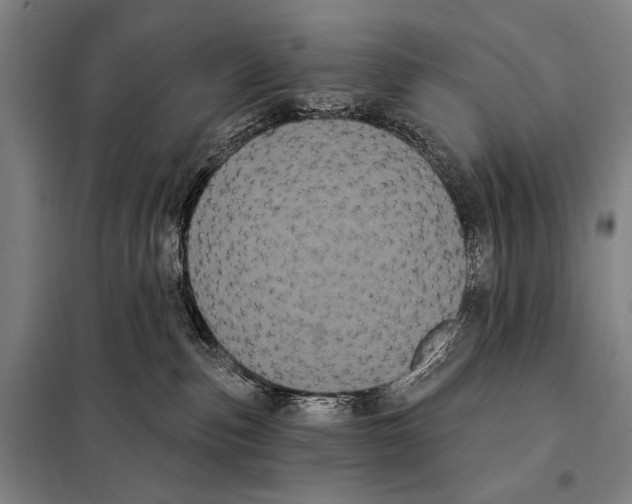 X0000097970187200804211021
