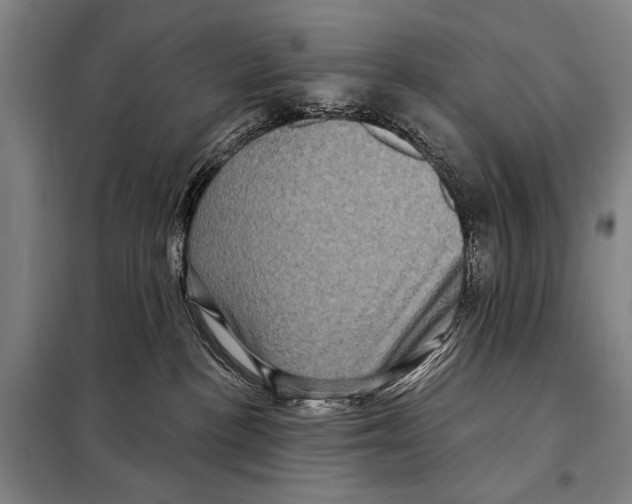 X0000097970188200804211021