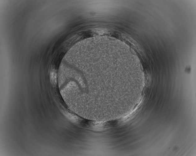 X0000097970191200804211021