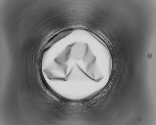 X0000097970193200804211021