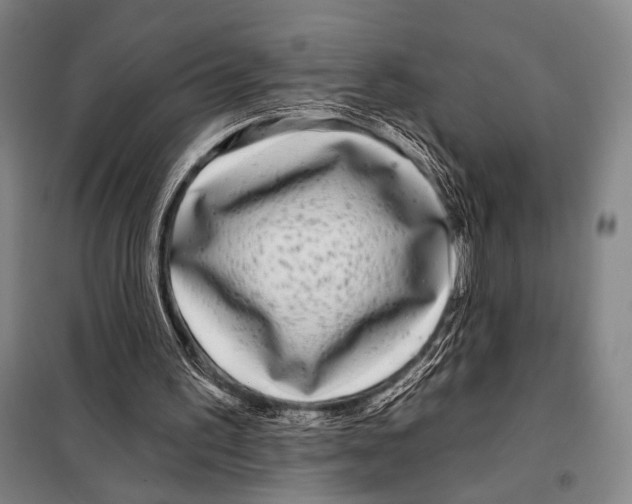 X0000097970195200804211020