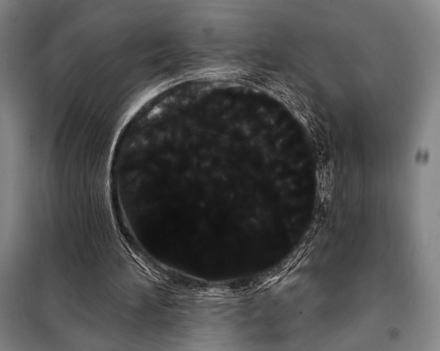 X0000097970196200804211020