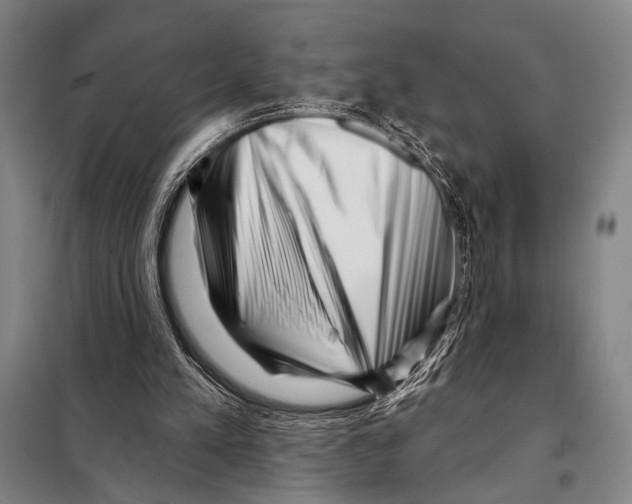X0000097970197200804211020