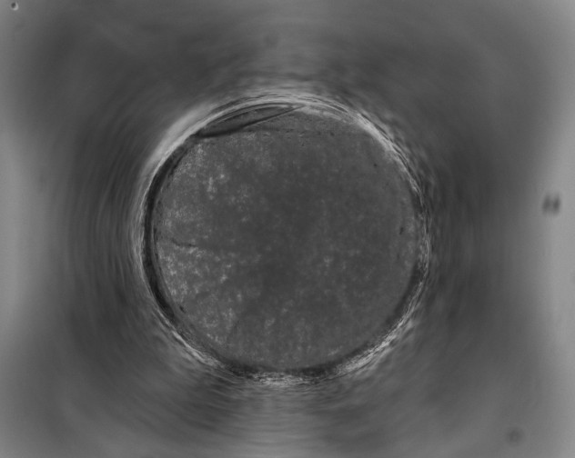X0000097970199200804211020