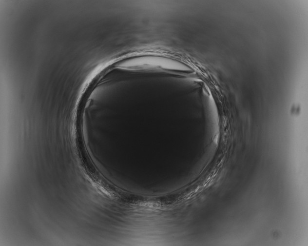 X0000097970200200804211020