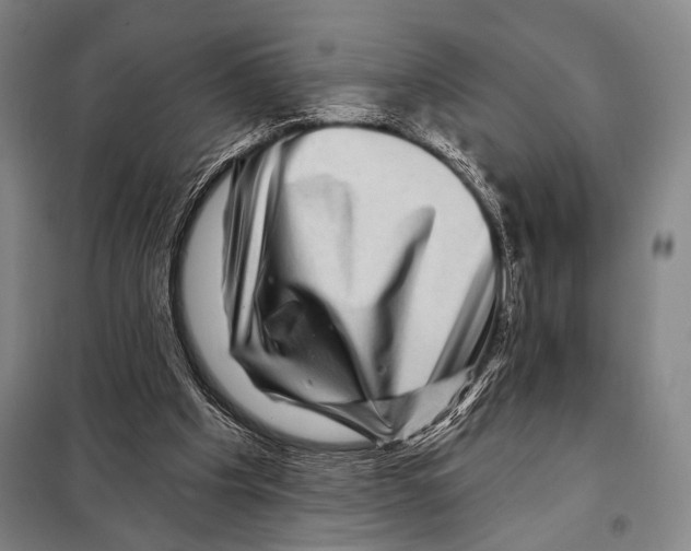 X0000097970201200804211020