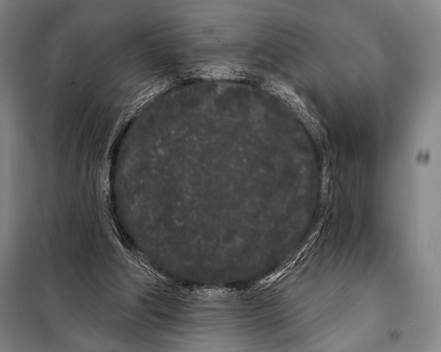 X0000097970202200804211020
