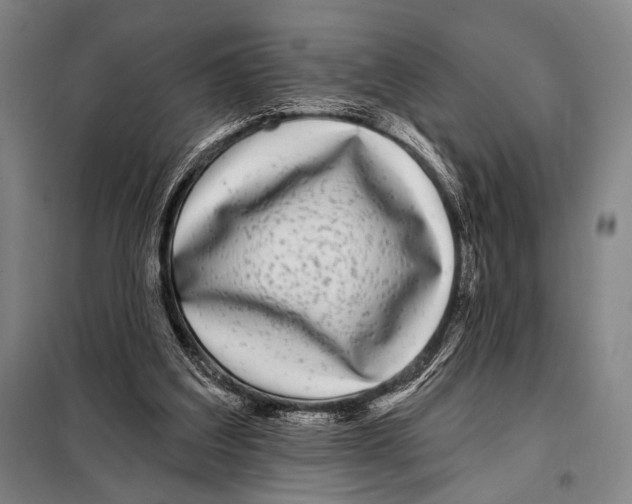 X0000097970203200804211020