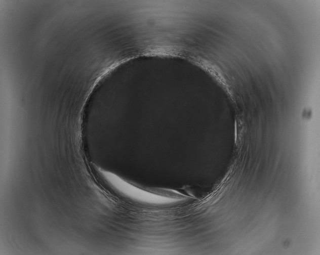 X0000097970204200804211020