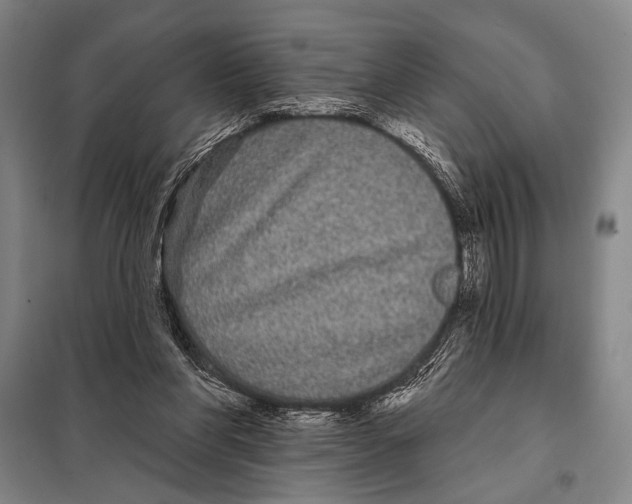 X0000097970206200804211020