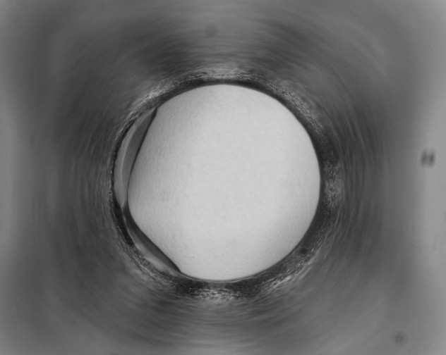 X0000097970207200804211020
