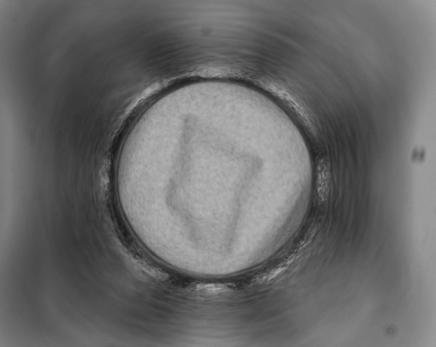X0000097970208200804211020